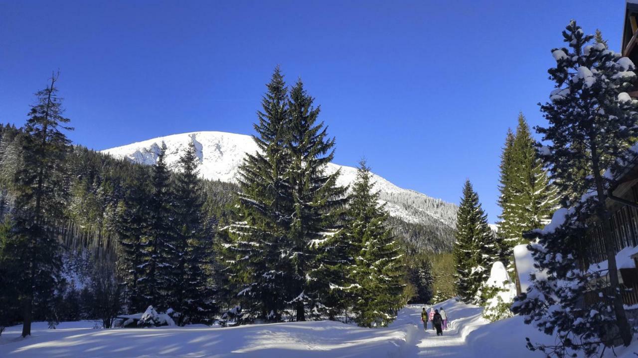 Ubytovani Javor Pec pod Snezkou Bagian luar foto